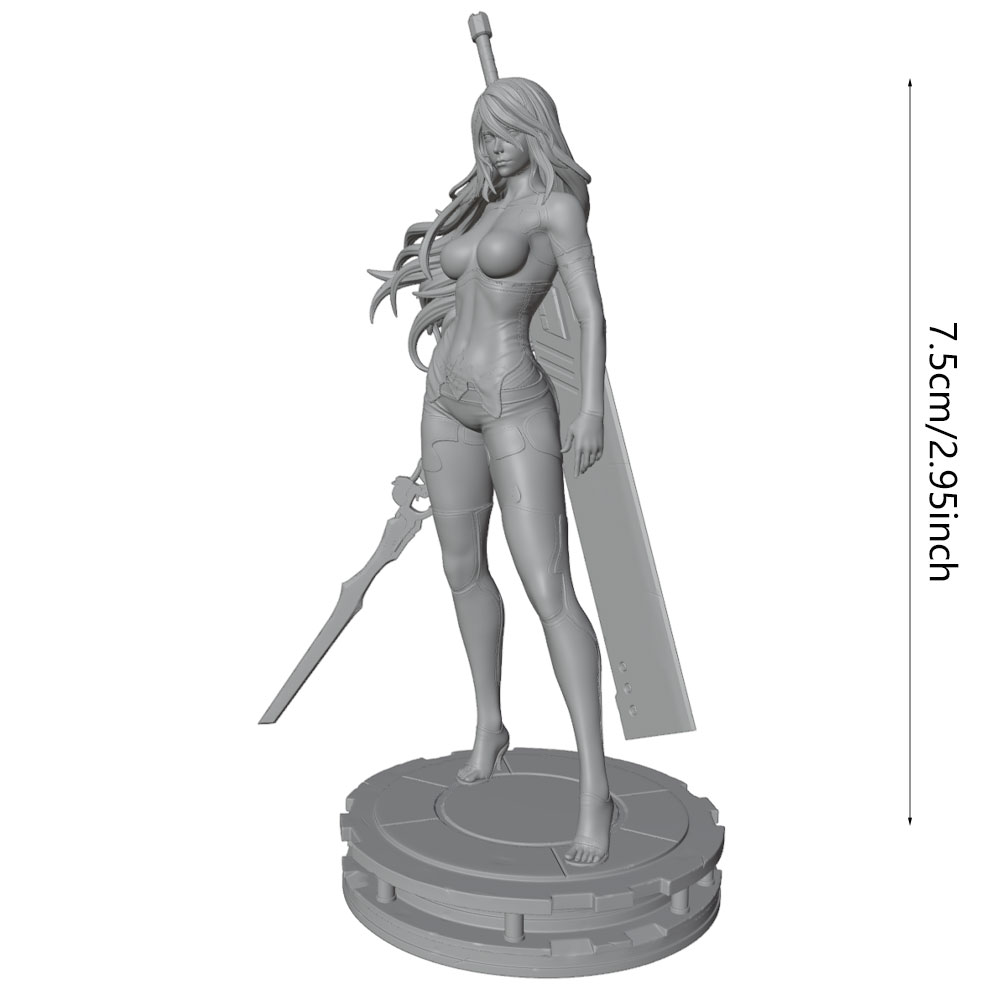 1/24 데스크탑 장식품, 여성 전사 모델 키트, 검을 - 3D Printing Instructor 리뷰 및 가격