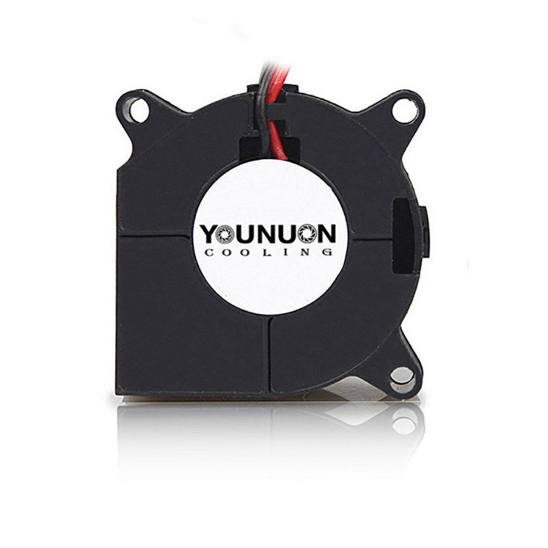 2 개 40mm 송풍기 팬 4020 40x40x20mm - 3D Printer Power Supply 리뷰 및 가격