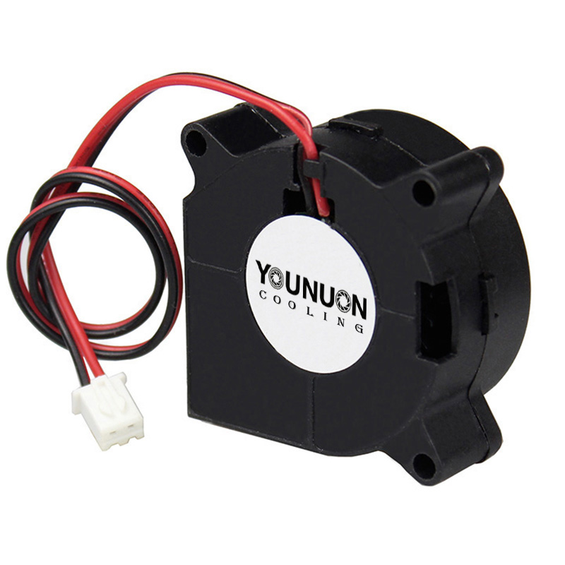 2 개 40mm 송풍기 팬 4020 40x40x20mm - 3D Printer Power Supply 리뷰 및 가격